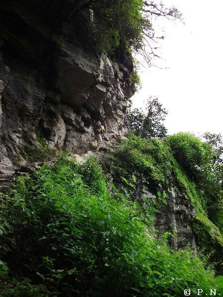 ścieżki – zdjęcie 58