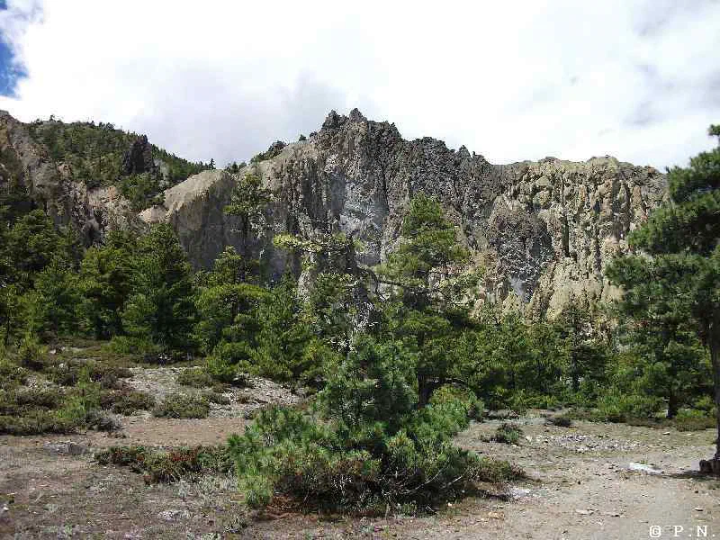 Humde – zdjęcie 129
