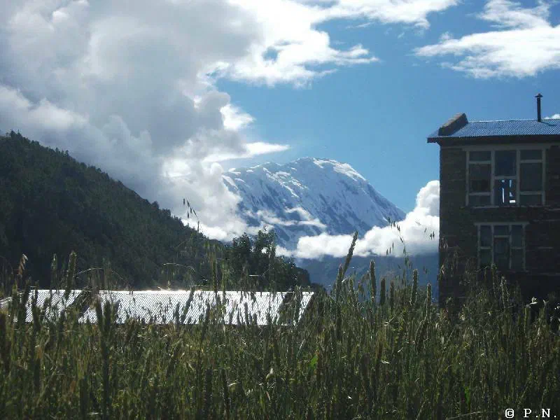 Manang – zdjęcie 13