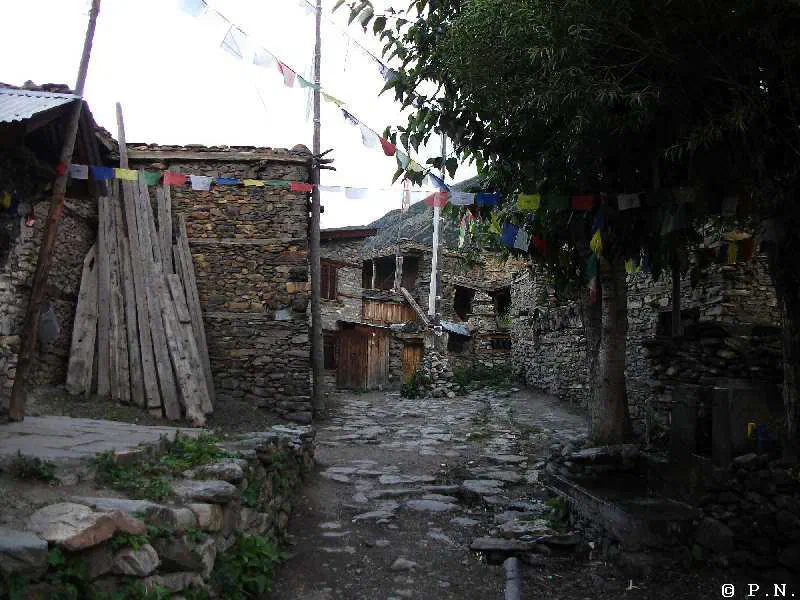 Manang – zdjęcie 112