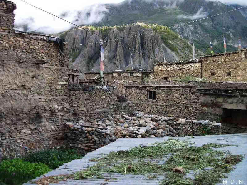 Manang – zdjęcie 114