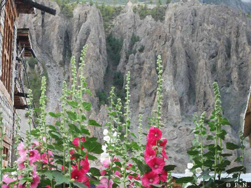 Manang – zdjęcie 125