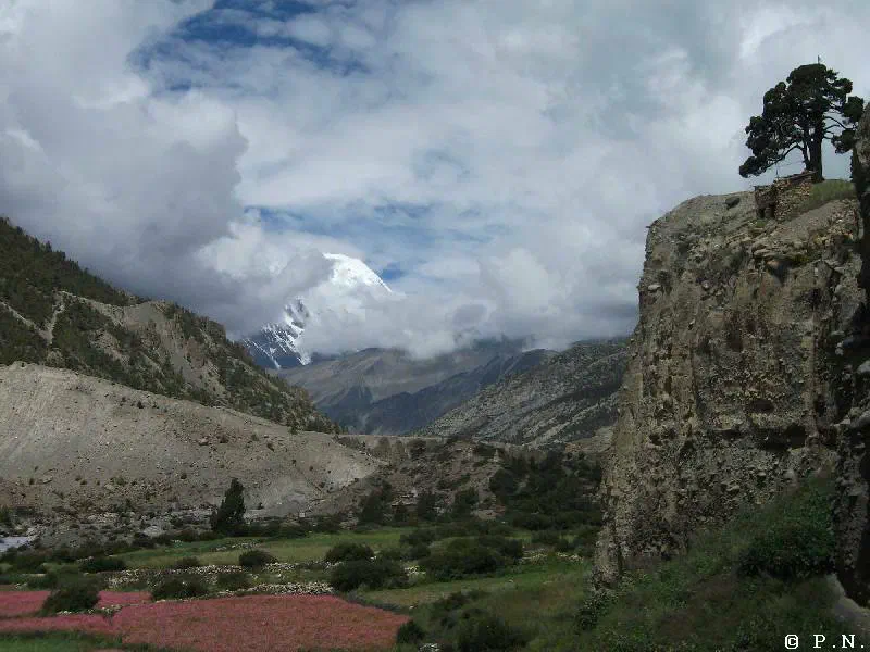Manang – zdjęcie 138
