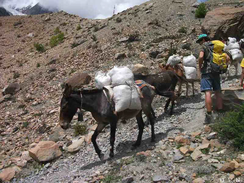 Manang – zdjęcie 146