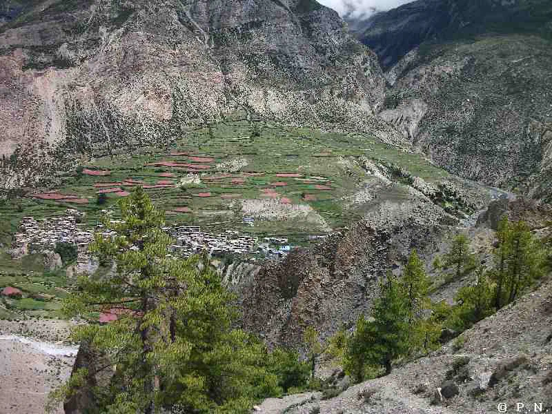Manang – zdjęcie 173