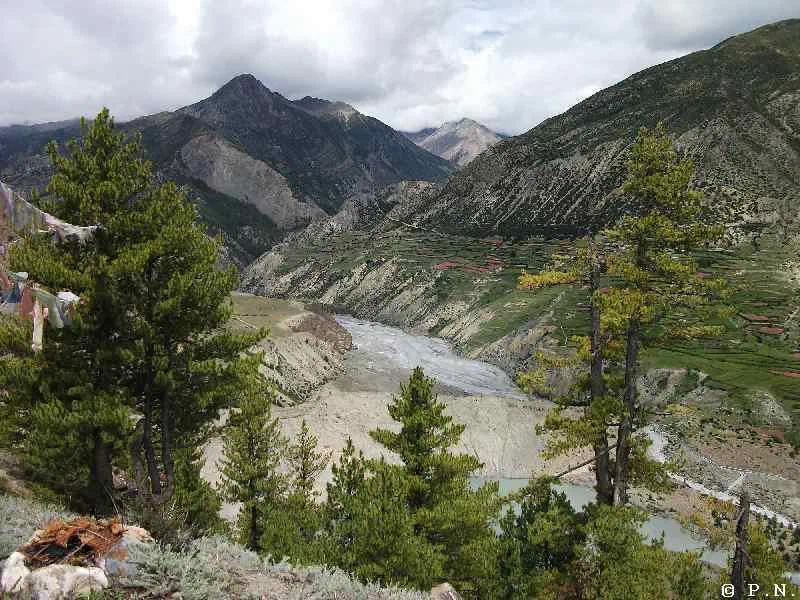 Manang – zdjęcie 174