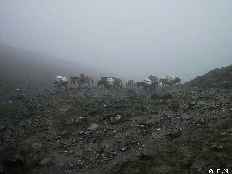 Thorong La – zdjęcie 90