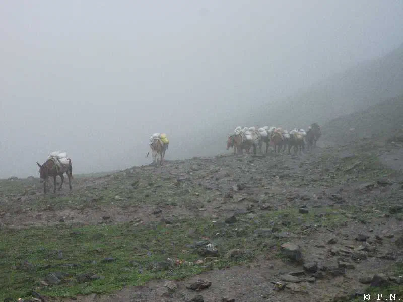 Thorong La – zdjęcie 102
