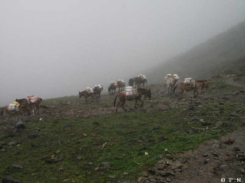 Thorong La – zdjęcie 103