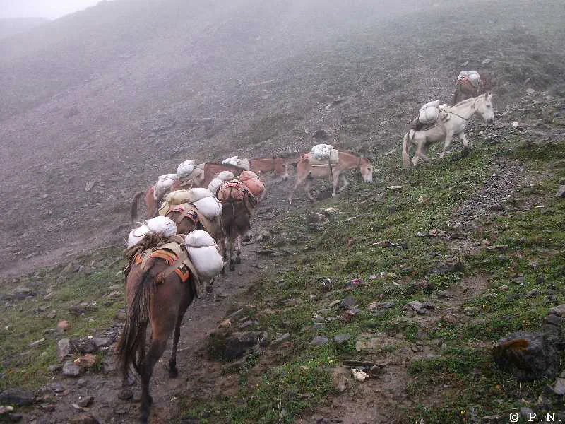 Thorong La – zdjęcie 110