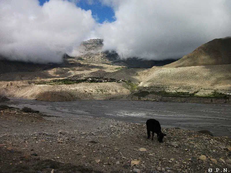 Kaligandaki – zdjęcie 7