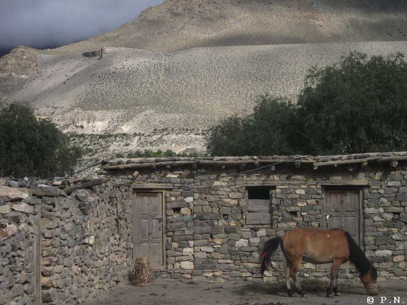 Kaligandaki – zdjęcie 14