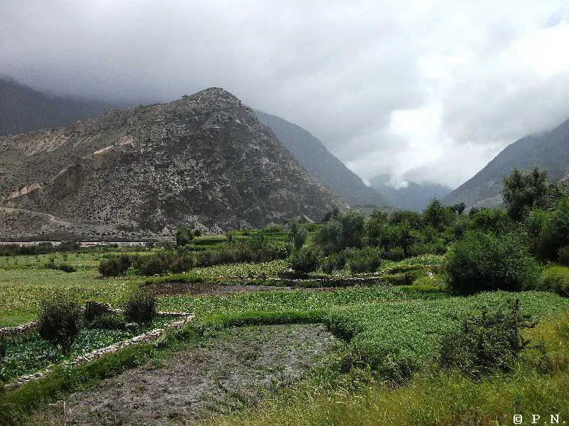 Kaligandaki – zdjęcie 125