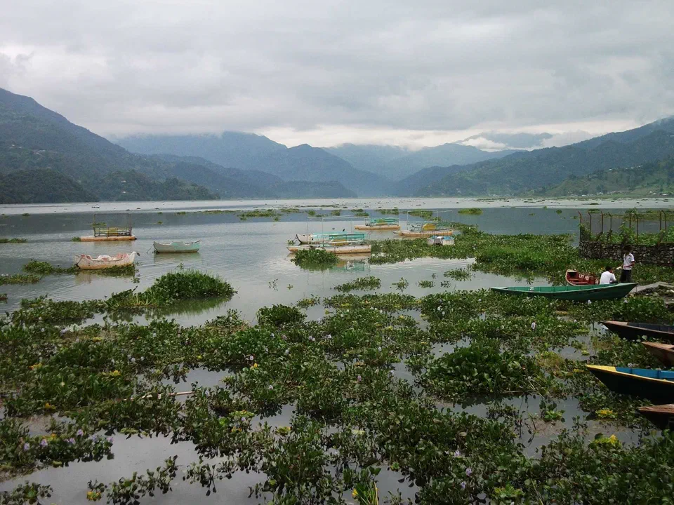 Pokhara – zdjęcie 35