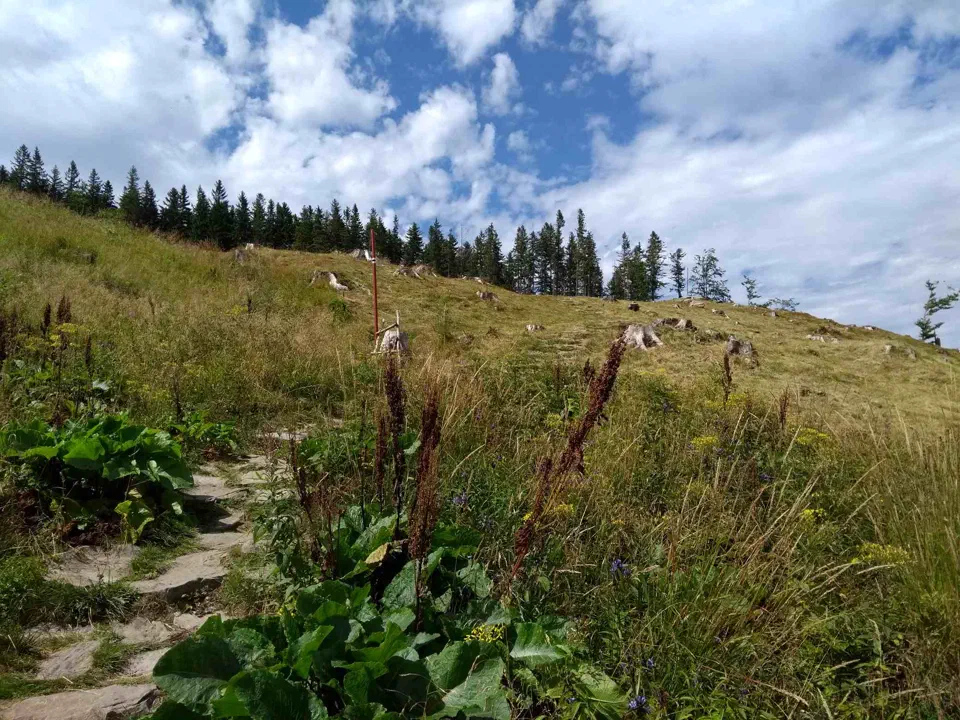 Babia Góra przez Perć – zdjęcie 14