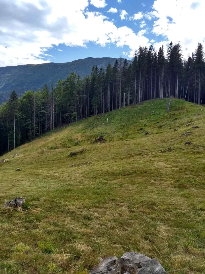 Babia Góra przez Perć – zdjęcie 19