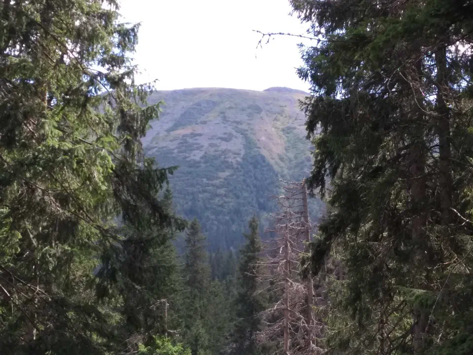 Babia Góra przez Perć – zdjęcie 34