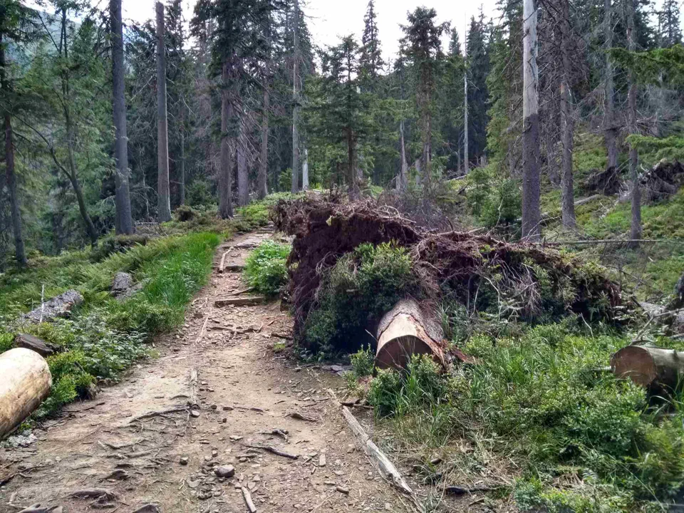 Babia Góra przez Perć – zdjęcie 37