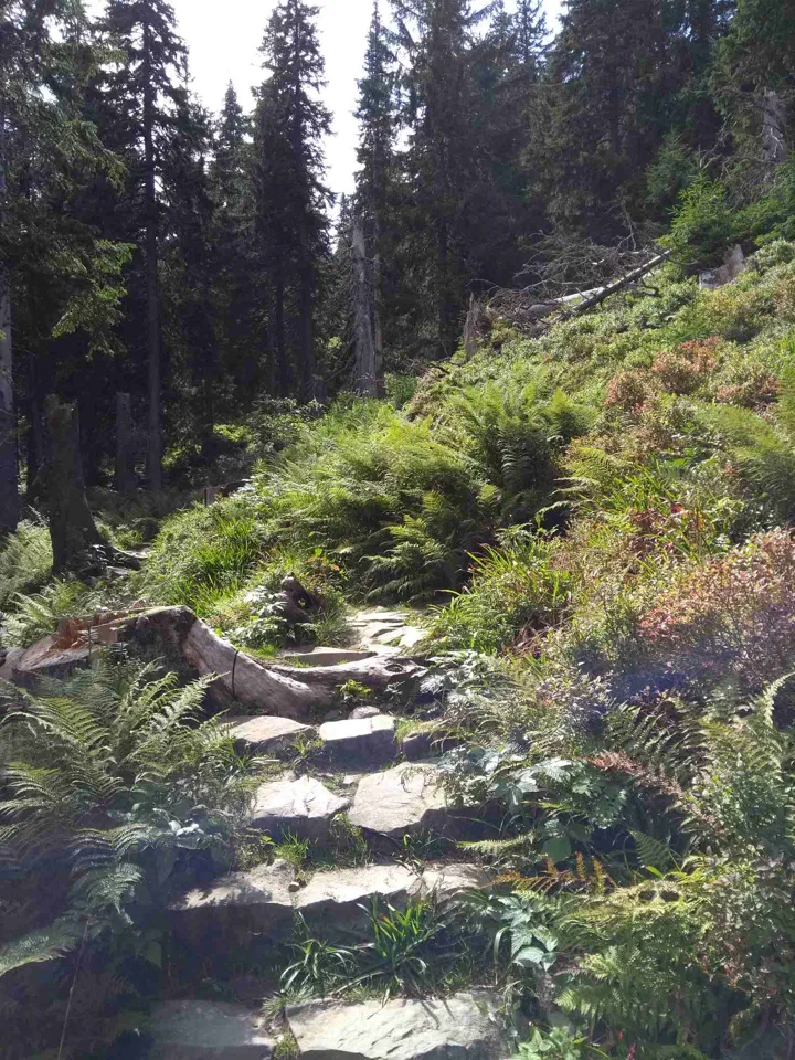 Babia Góra przez Perć – zdjęcie 38
