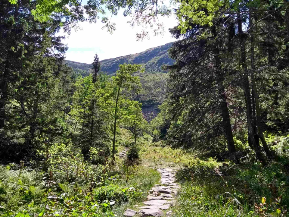 Babia Góra przez Perć – zdjęcie 41