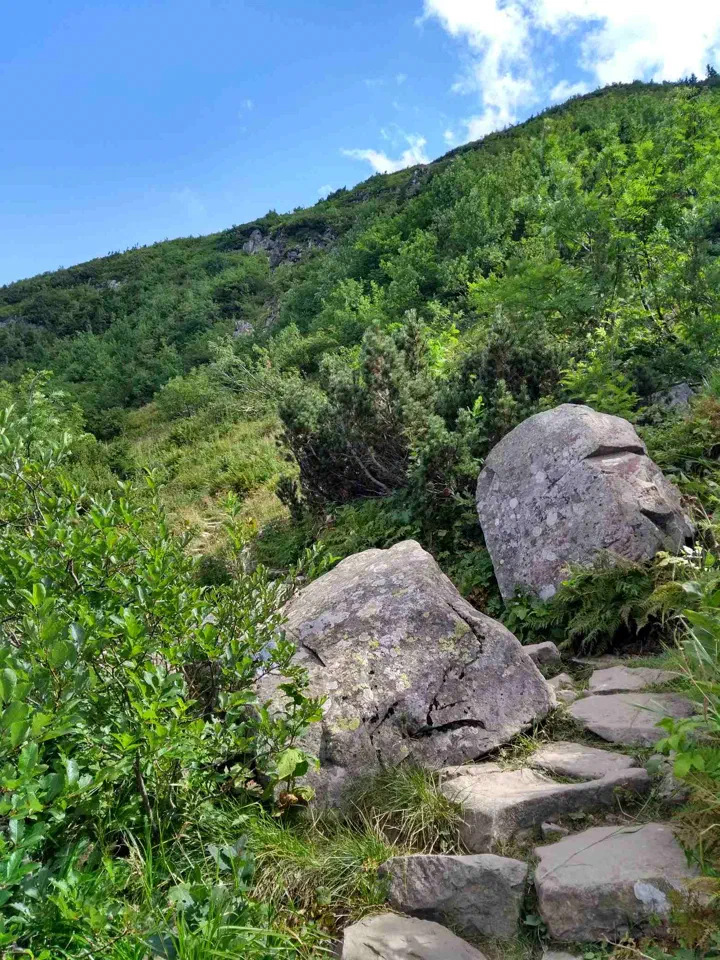 Babia Góra przez Perć – zdjęcie 65