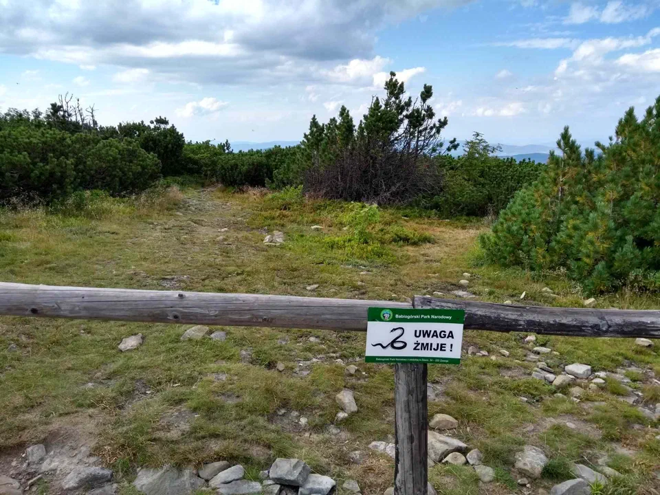 Babia Góra przez Perć – zdjęcie 156