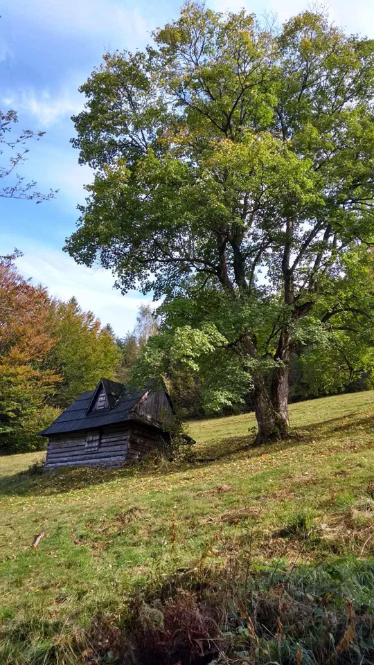 Skrzyczne 2019.10.07 – zdjęcie 35