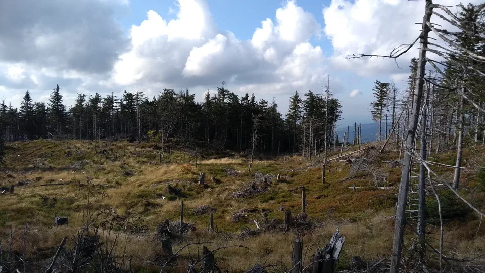 Skrzyczne 2019.10.07 – zdjęcie 32