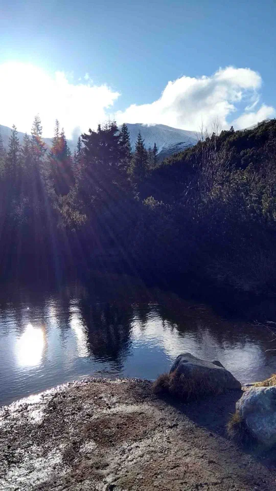 24.11.2019 – zdjęcie 74