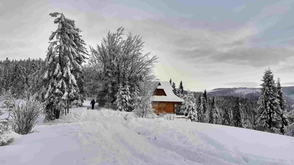 Turbacz 30.12.2019r – zdjęcie 3
