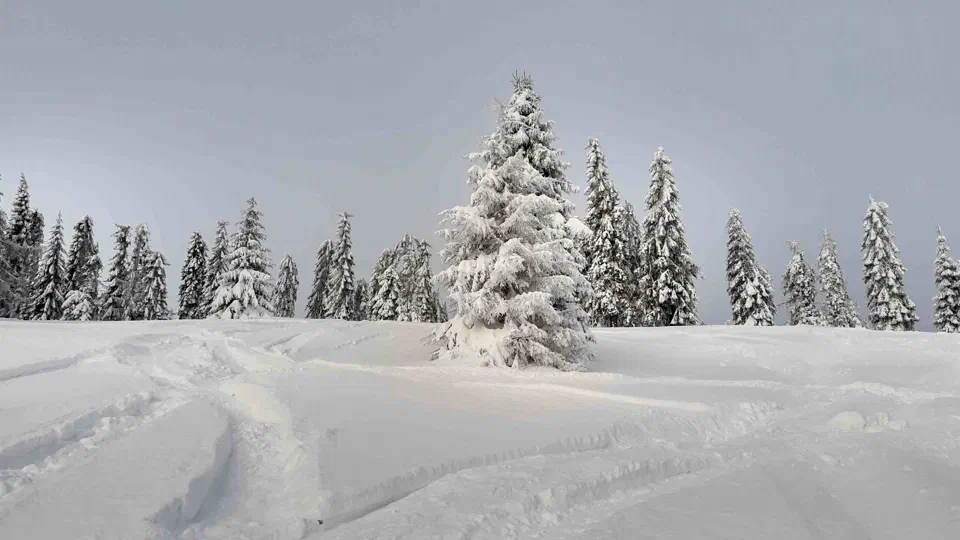 Turbacz 30.12.2019r – zdjęcie 10