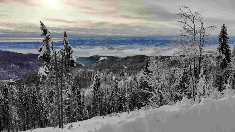 Turbacz 30.12.2019r – zdjęcie 11