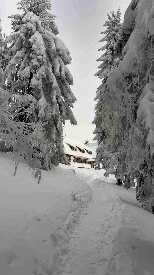 Turbacz 30.12.2019r – zdjęcie 15