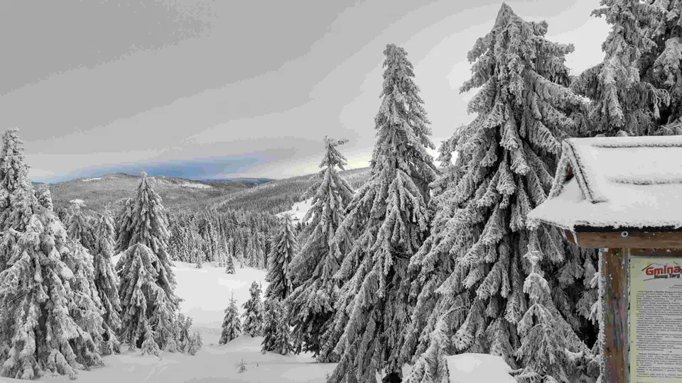 Turbacz 30.12.2019r – zdjęcie 29