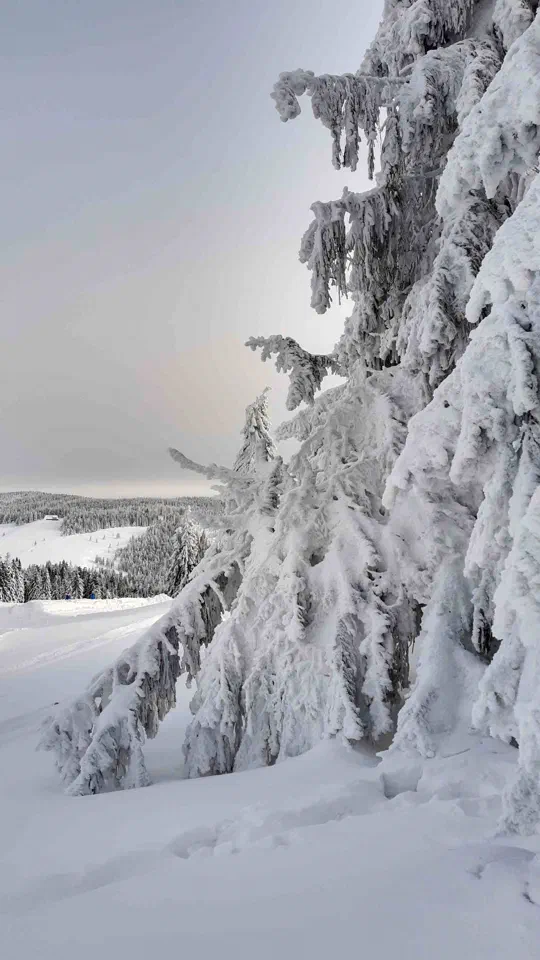 Turbacz 30.12.2019r – zdjęcie 47