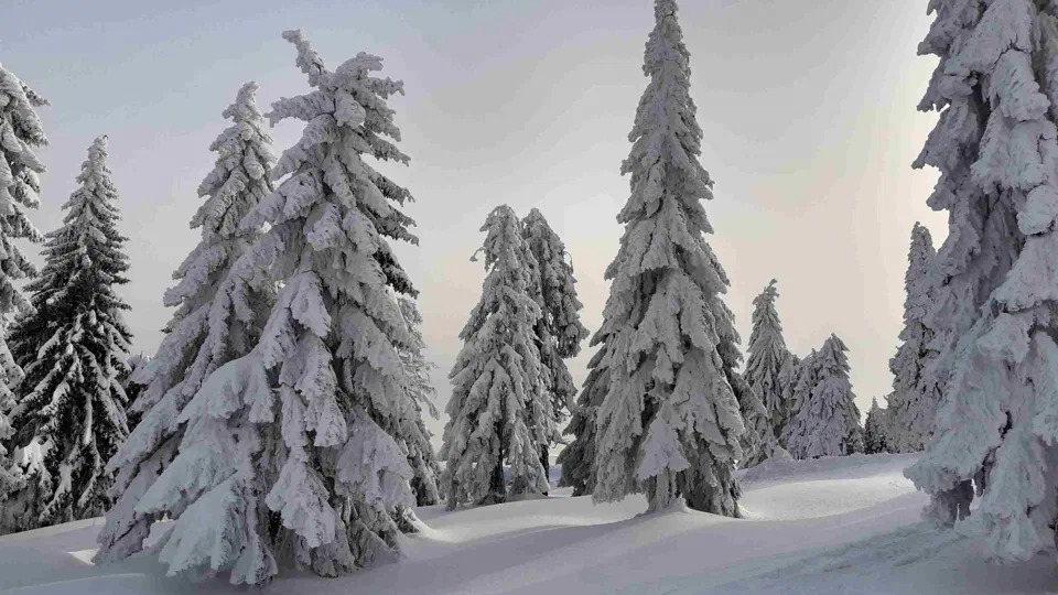 Turbacz 30.12.2019r – zdjęcie 54