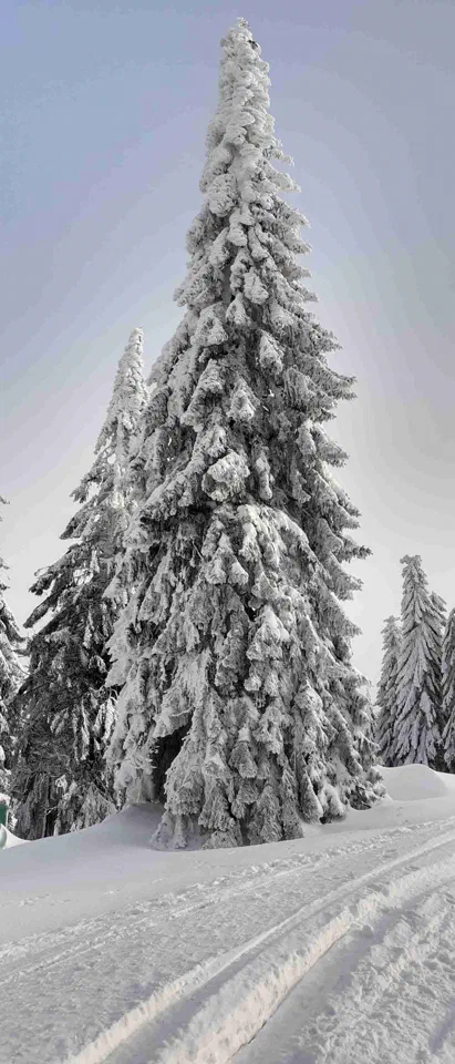 Turbacz 30.12.2019r – zdjęcie 56
