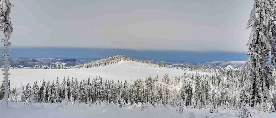 Turbacz 30.12.2019r – zdjęcie 61
