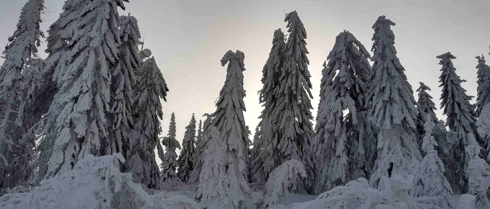Turbacz 30.12.2019r – zdjęcie 63