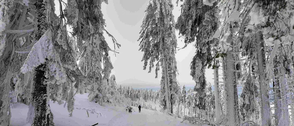 Turbacz 30.12.2019r – zdjęcie 64