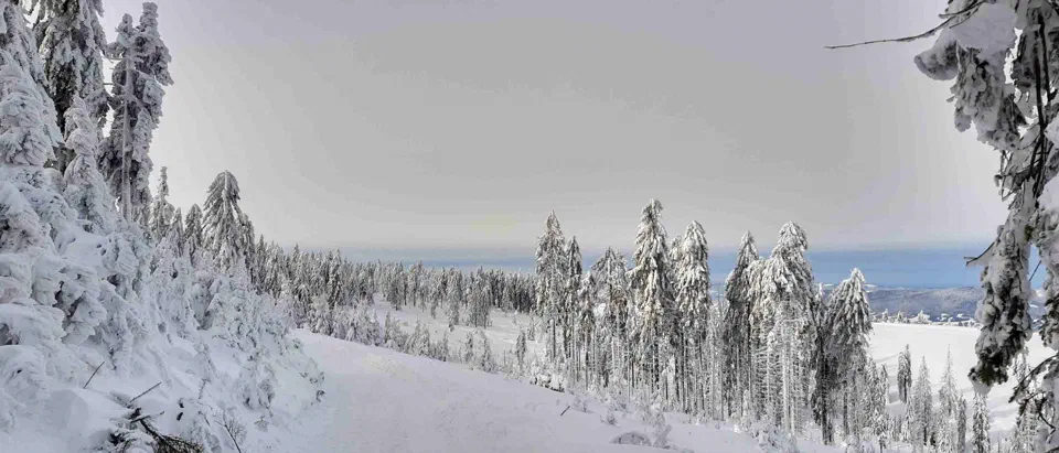 Turbacz 30.12.2019r – zdjęcie 66