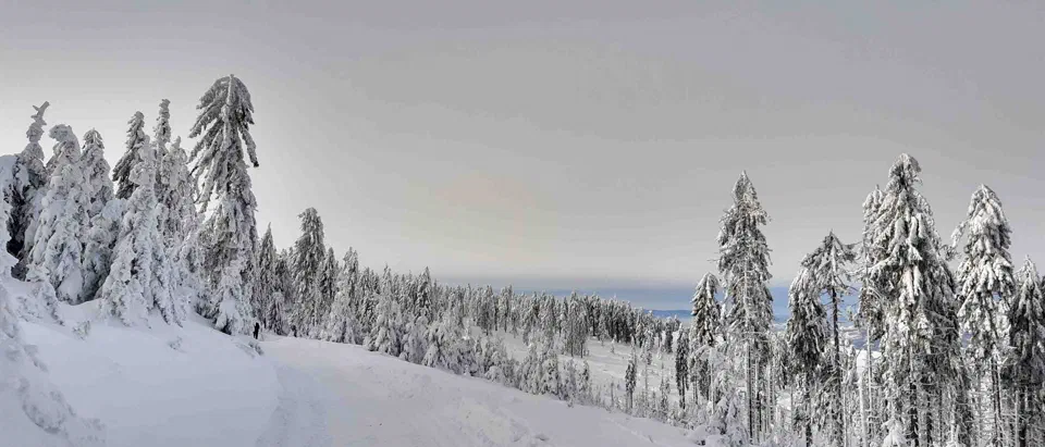 Turbacz 30.12.2019r – zdjęcie 67