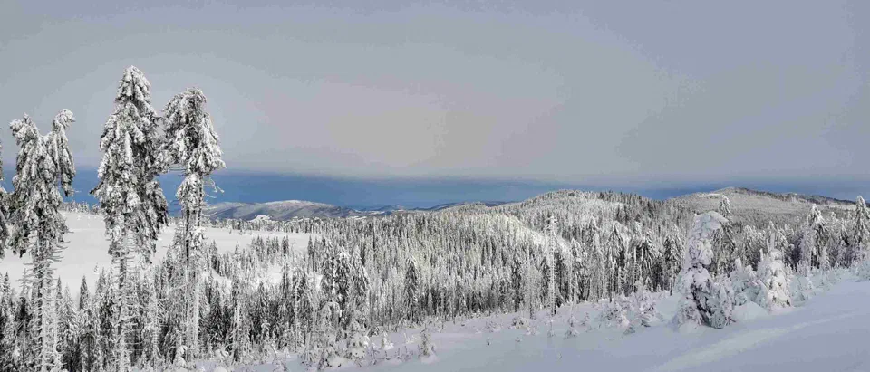 Turbacz 30.12.2019r – zdjęcie 71