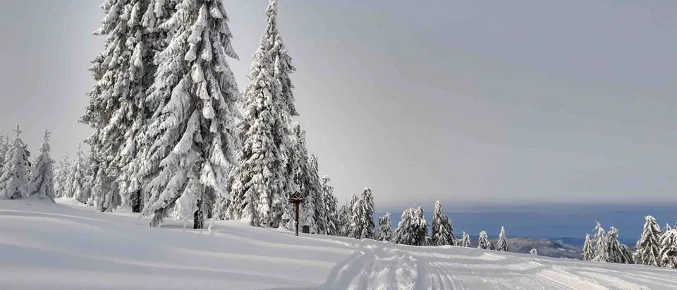 Turbacz 30.12.2019r – zdjęcie 78
