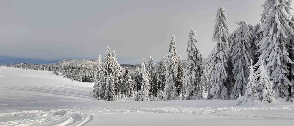 Turbacz 30.12.2019r – zdjęcie 80