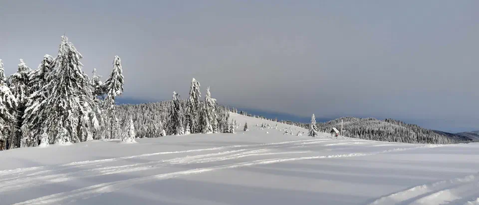 Turbacz 30.12.2019r – zdjęcie 85