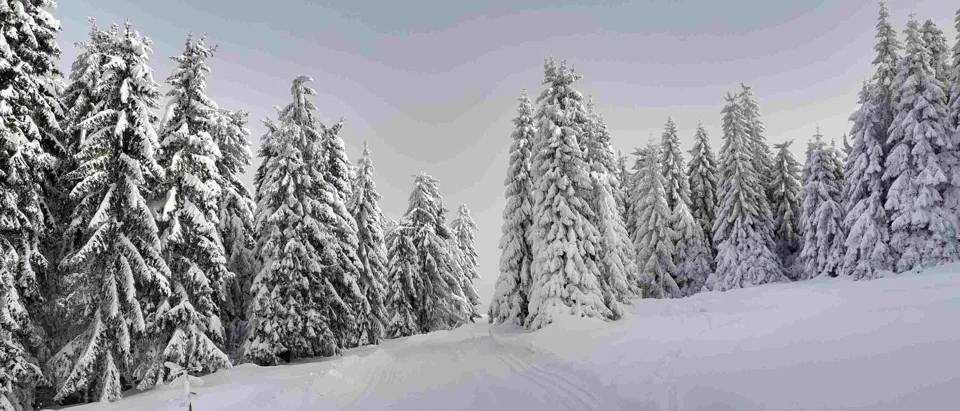Turbacz 30.12.2019r – zdjęcie 86