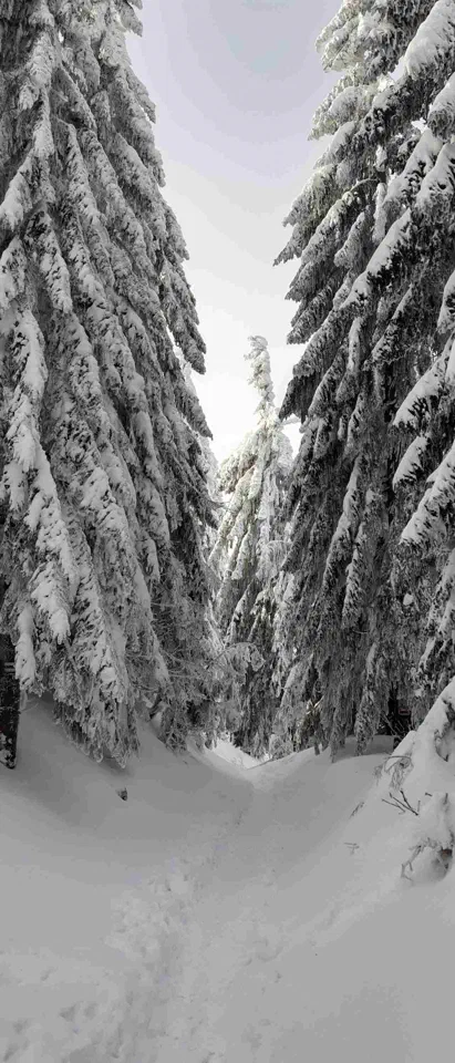 Turbacz 30.12.2019r – zdjęcie 88