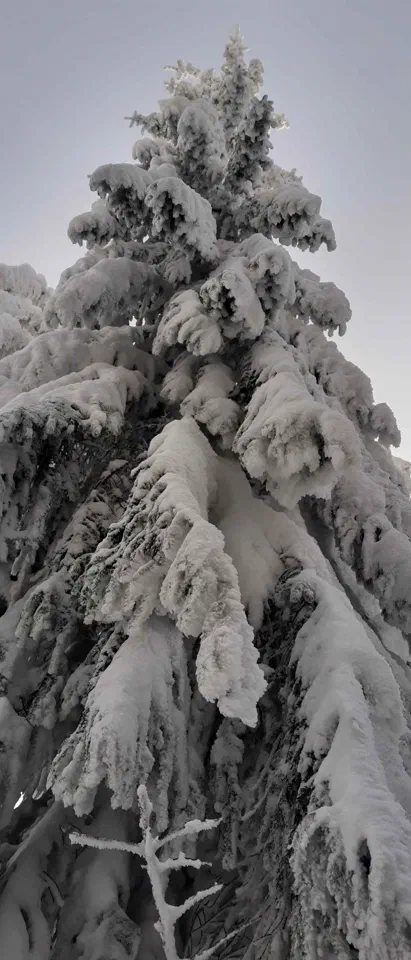 Turbacz 30.12.2019r – zdjęcie 89