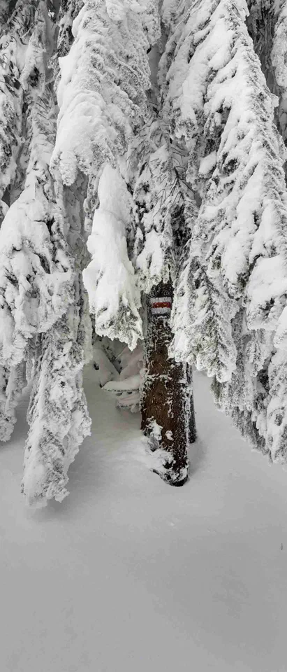 Turbacz 30.12.2019r – zdjęcie 91